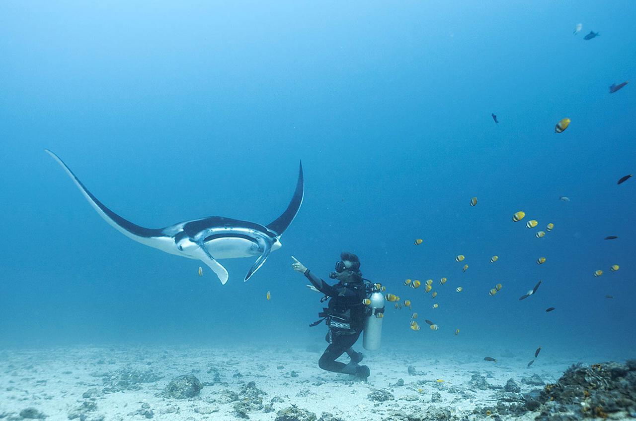 Blue Marlin Dive Komodo Labuan Bajo Exterior foto